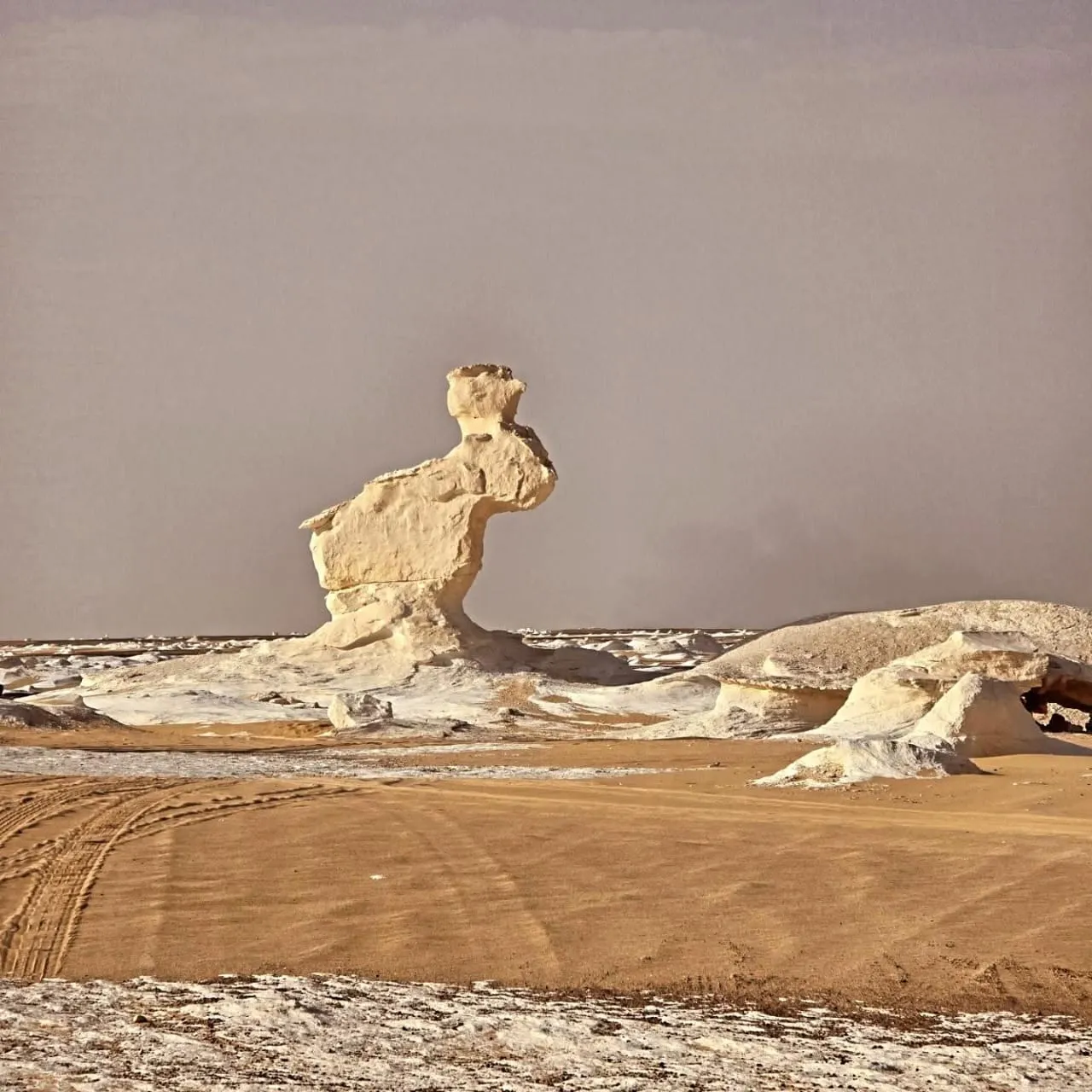 🏜️ White Desert Safari Adventure White Desert Safiri Adventure /IMG-20260407-WA0011.jpg